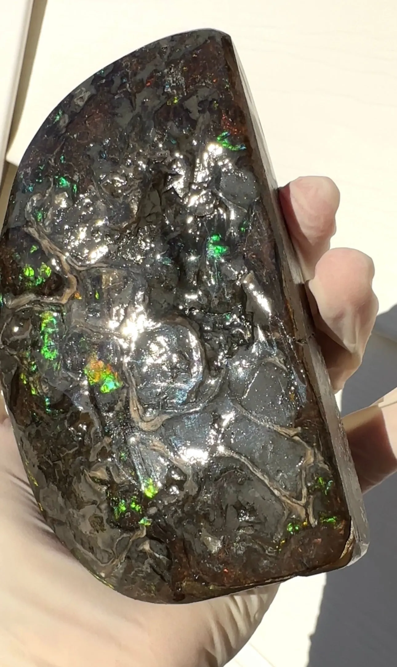 ★SALE★4.56" RARE High Grade Double-Sided Handheld Gem Specimen with horns ( nipplites)  CS-235 * Ammolite  Free Shipping! アンモライトFREE SHIPPING!