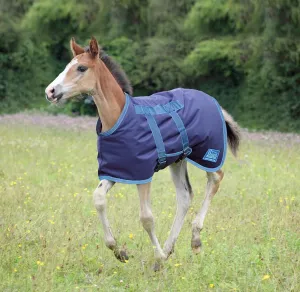 Shires Highlander Foal Rug