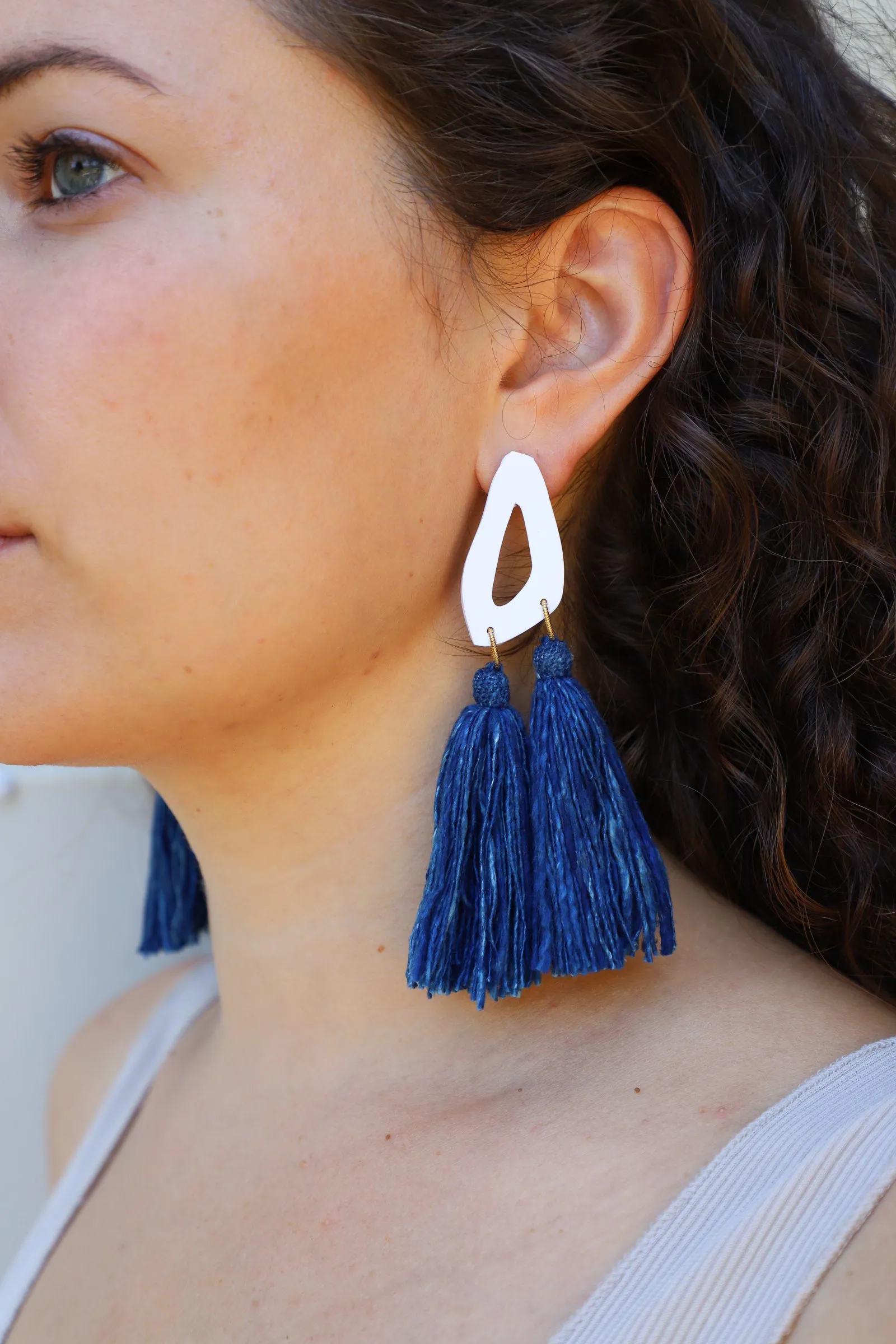 Sonido Indigo