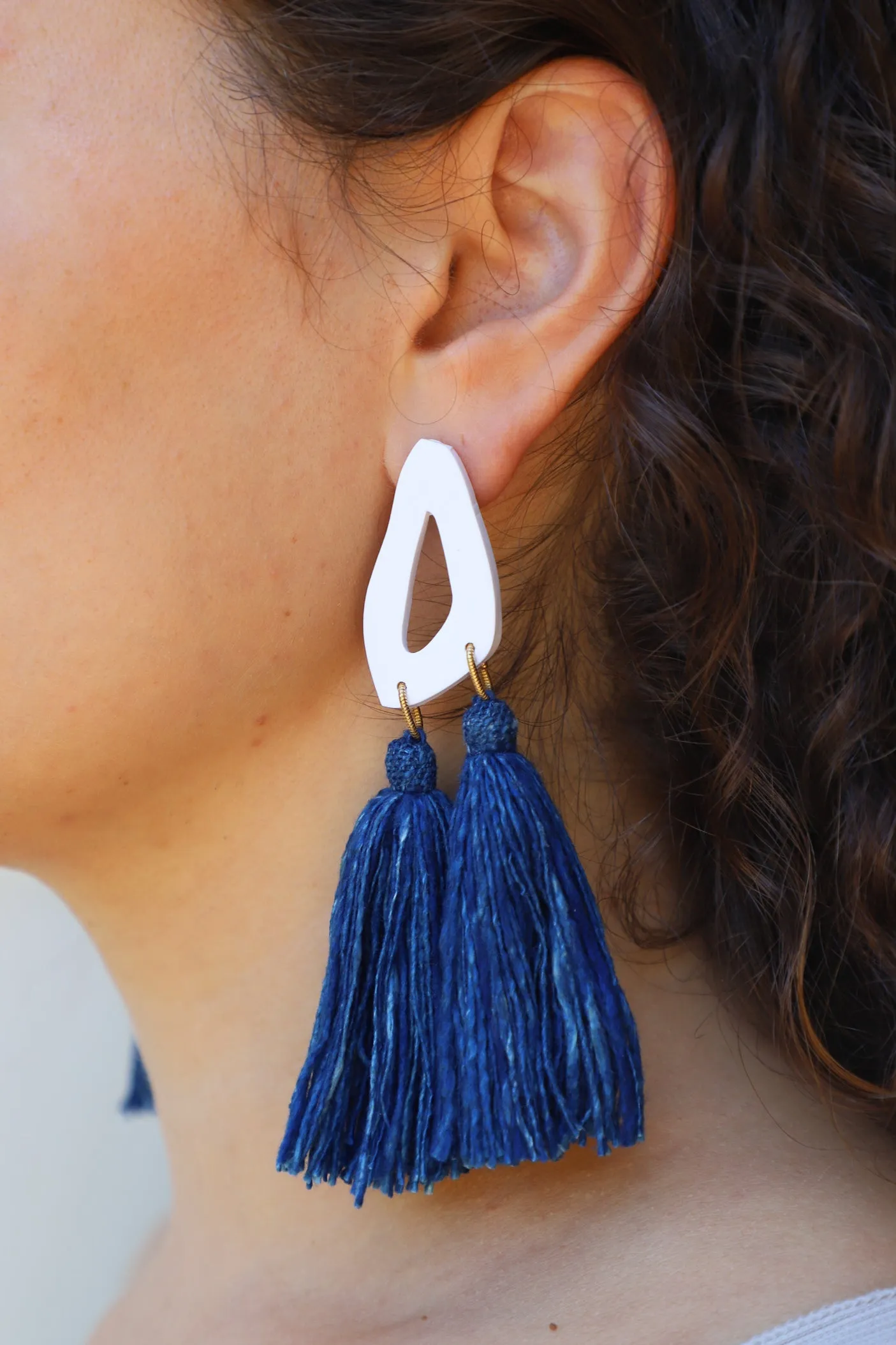 Sonido Indigo