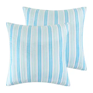 Summertime Euro Sham Set of 2