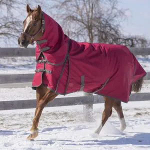 TK17050 Winter -Diablo High Neck 300g Canadian Horsewear