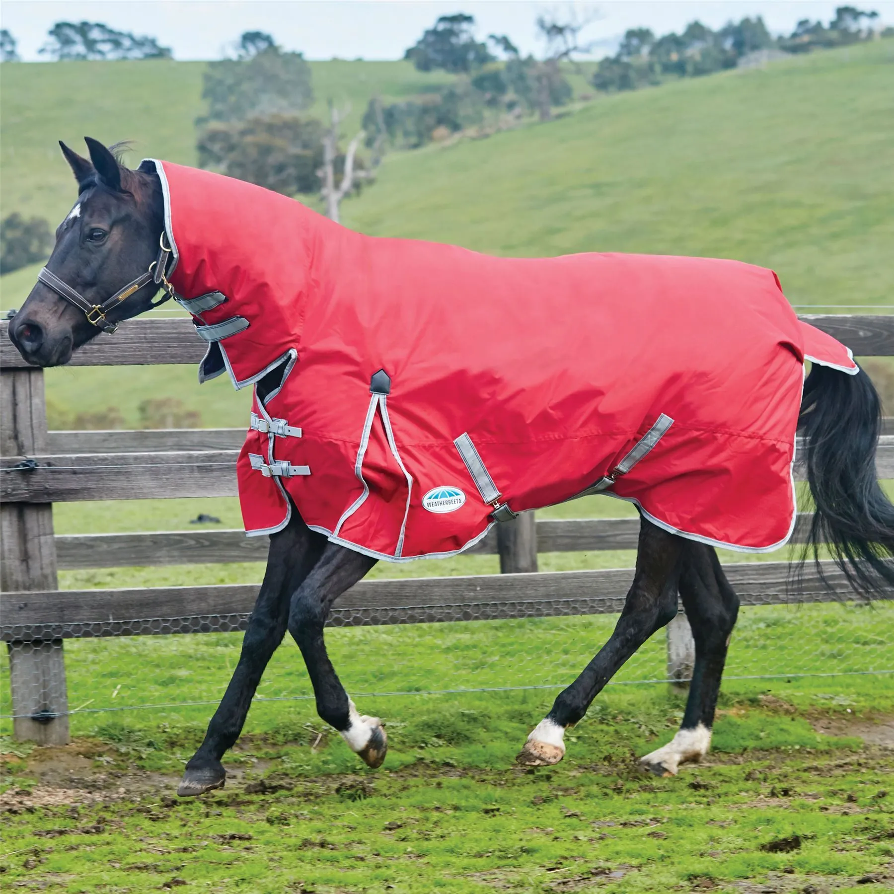 Weatherbeeta Comfitec Classic Combo Neck Medium/Lite