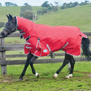 Weatherbeeta Comfitec Classic Combo Neck Medium/Lite