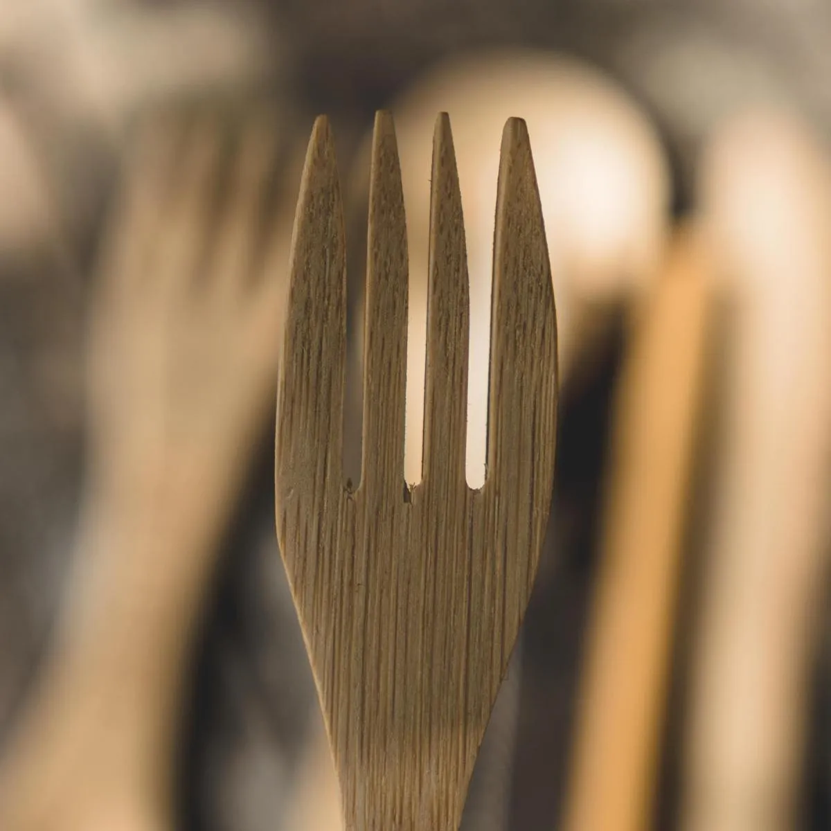 Wild Roots Natural Bamboo Cutlery Set - Purple