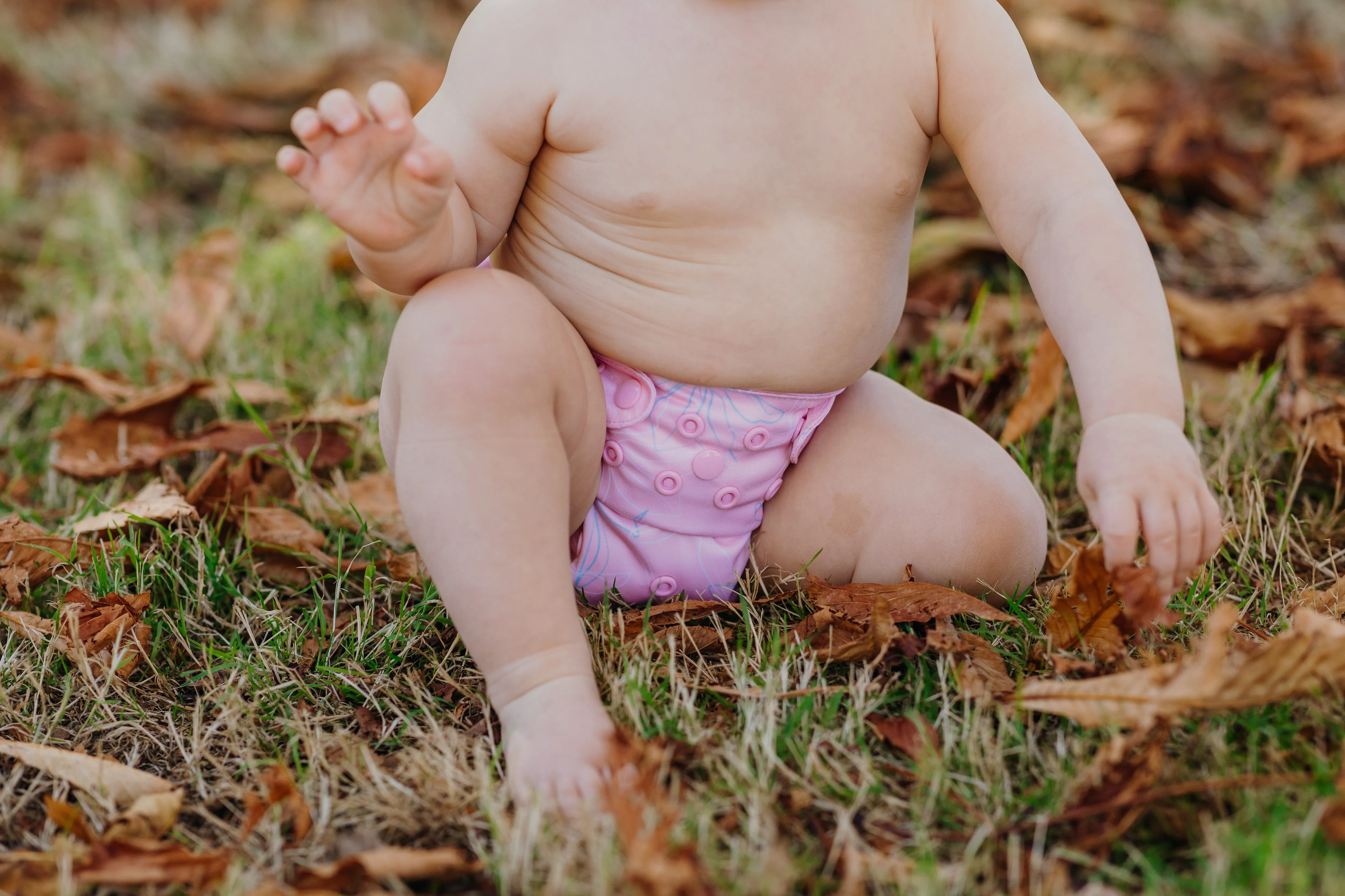 Willa | OSFM
