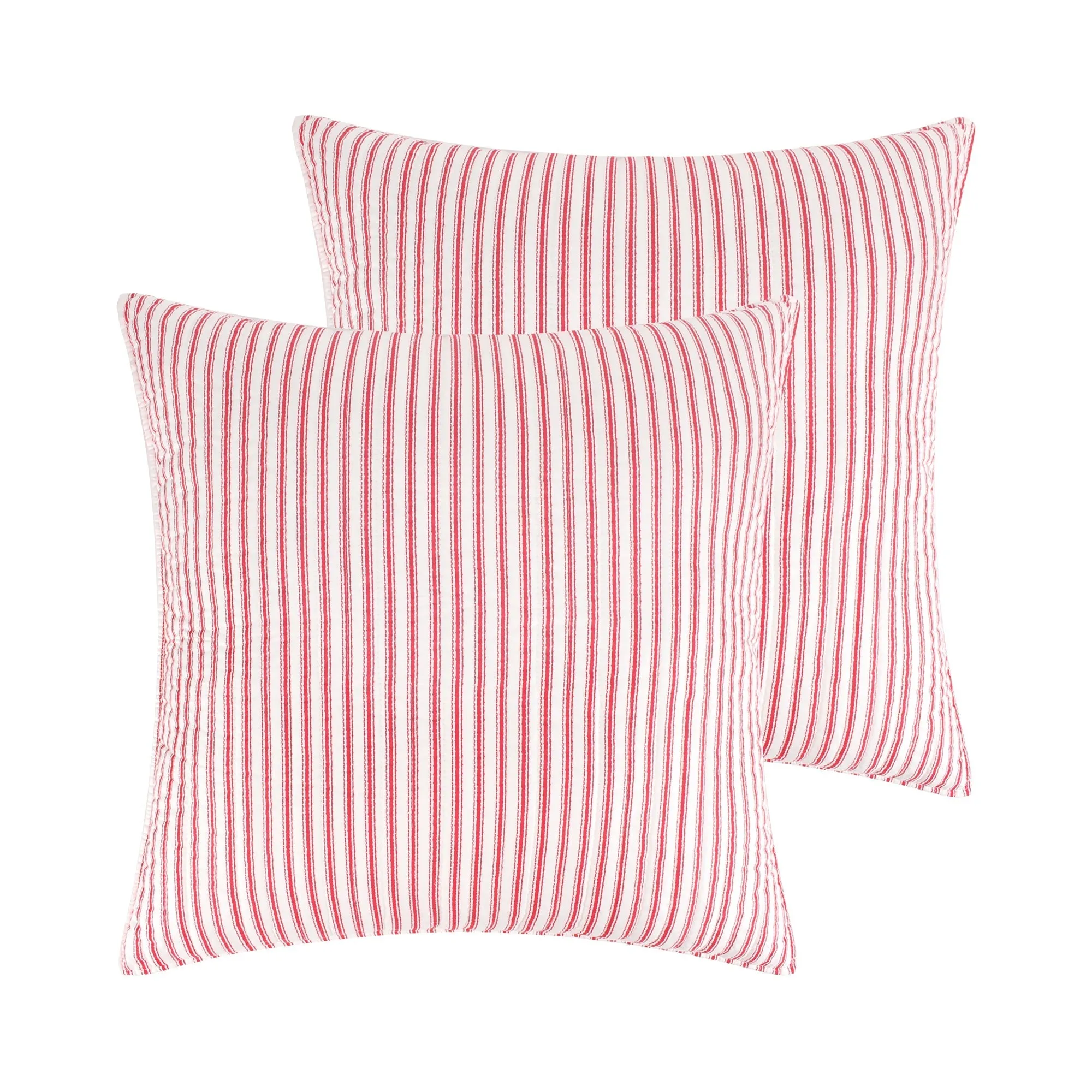 Winterberry Forest Euro Sham Set of 2